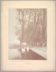 Suite de Paysages: Landschap, Plaat 6, Remarque, Lelies, 1892-1893 door Charles Marie Dulac