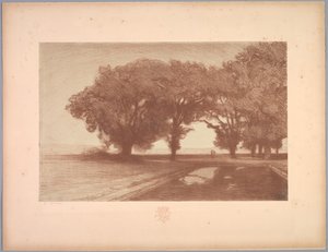 Suite de Landschappen: Landschap, Plaat 8, Remarque, Viooltjes door Charles Marie Dulac