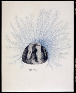 Gevaderde hoed - “La Mode en 1912” door Marcelle Demay, illustratie door Charles Martin door Charles Martin