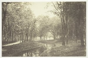 Zonder Titel, ca. 1850. [Bomen bij water in het Bois de Boulogne, een park in Parijs] door Charles Marville