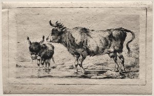 Koe en ezel, 1849
