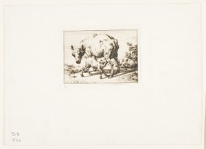 De ooi met twee lammeren door Charles Meryon