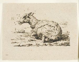 De Schapen en de Vliegen