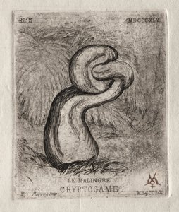 De Zieke Cryptogam
