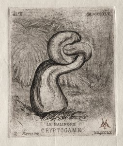 De zieke cryptogam, 1860