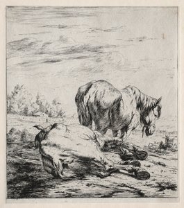 De twee paarden door Charles Meryon