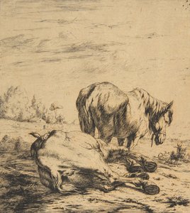 Twee paarden door Charles Meryon