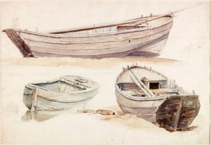 Studies van zalmboten