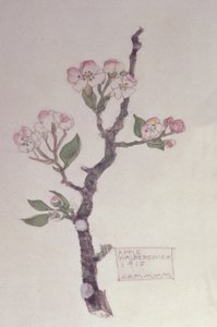 Appel, Walberswick, 1915 door Charles Rennie Mackintosh