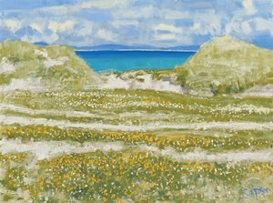 Glimpse of Harris, 2014 (olieverf op doek)
