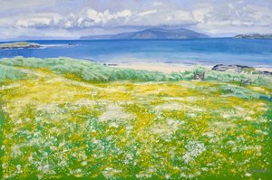 Machair, North End Iona, 2015 (olieverf op doek) door Charles Simpson