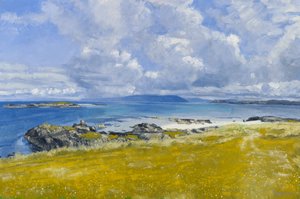 North Shore, Iona, 2015 (olieverf op doek)