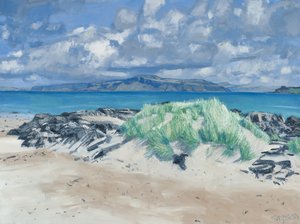 Rotsen en grassen, Iona, 2013 (olieverf op doek)