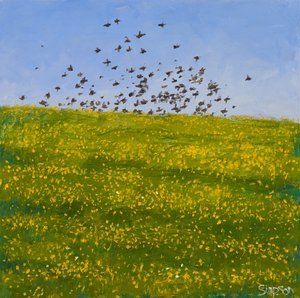 Spreeuwen en boterbloemen, Iona, 2015 (olieverf op doek)