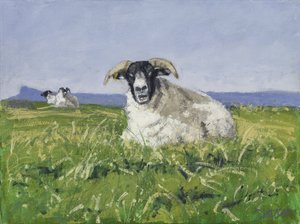 West Coast Sheep, 2017 (olieverf op doek)