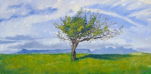 West Coast Tree, 2015 (olieverf op doek)