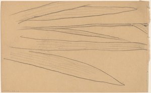 Studie van een Bloem (verso) door Charles Sprague Pearce