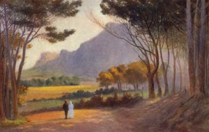 Kaapse Schiereiland, Zuid-Afrika: Alphen