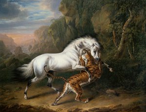 Een Tijger die een Arabische Hengst Aanvalt door Charles Towne