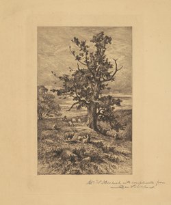 Landschap met Schapen door Charles Volkmar