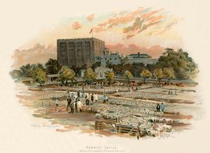 Kasteel van Norwich
