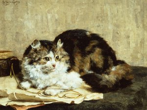 Een Cyperse Kat door Charles van den Eycken