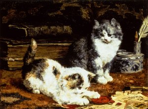 Twee kittens die op een bureau spelen