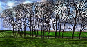 Cushendun, Noord-Ierland, 2020 door Charlotte Orr