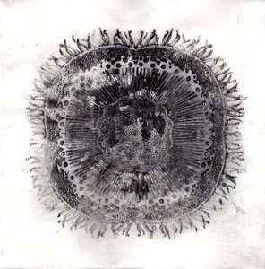 Plantecellen, 2019 door Charlotte Orr