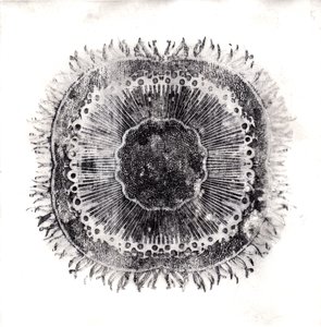 Plantencellen