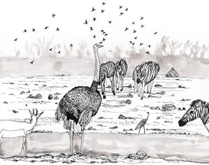 Safari 2, 2018 door Charlotte Orr