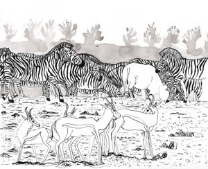 Safari 3, 2018 door Charlotte Orr