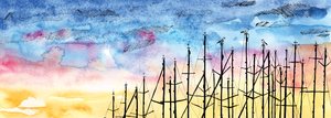 Het verhaal van de meeuw door Charlotte Orr