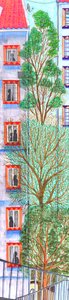 Drie bomen