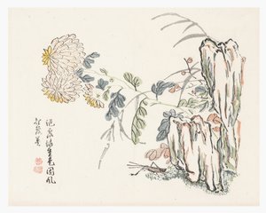Chrysant, Mustard Seed Garden Manual