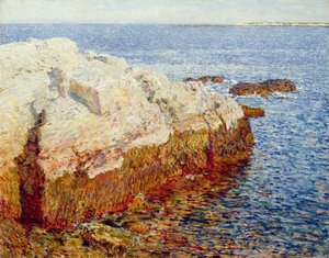 Kliprots, Appledore