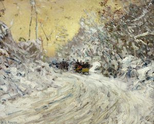 Sleerit in Central Park