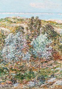 Voorjaarsvisie door Childe Frederick Hassam