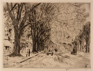 Easthampton Elms in mei