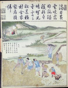 Oogst, De Rijstcultuur in China door Chinese School