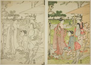 Kersenbloesems Bekijken vanuit een Theehuis op Asuka-heuvel door Chobunsai Eishi