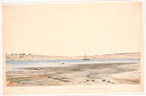 Krabbesholm strand