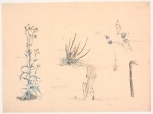 Plantstudies. Een badhuisbrug en een schip