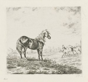 Landschap met drie paarden