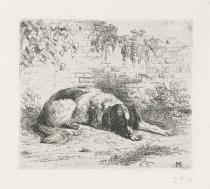 Liggende hond voor een muurtje door Christiaan Wilhelmus Moorrees