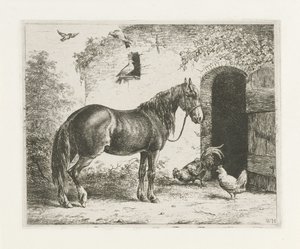 Paard met halster