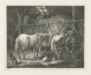 Stalinterieur met twee paarden