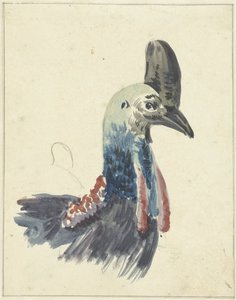 Kop van de Kasuaris door Christiaan van Geelen