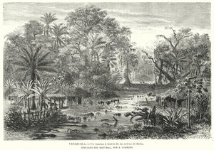 Pad door de jungles van Zulia, Venezuela door Christian Anton Goering