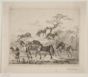 Stoeterijpaarden